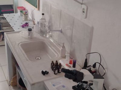 Imagem do WhatsApp de 2024-06-06 à(s) 14.27.37_74116134